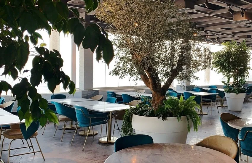 Mijana Restaurant&Cafe - Kuwait proje görseli 11